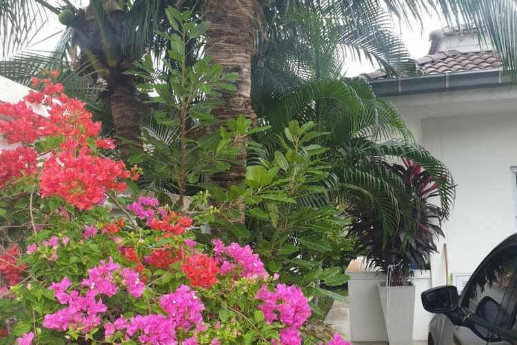 Дом на острове Самуй, Таиланд | THE108797