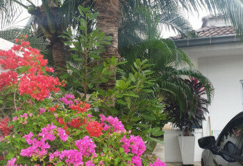 Дом на острове Самуй, Таиланд | THE108797