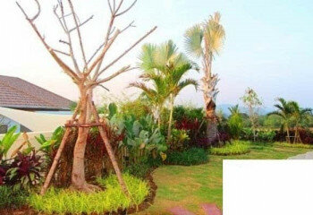 Дом в Хуахине, Таиланд | THE158156