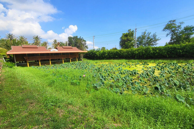 Вилла в Сам Рой Йот, Хуахин, Таиланд | THE555247