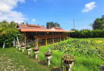 Вилла в Сам Рой Йот, Хуахин, Таиланд | THE555247