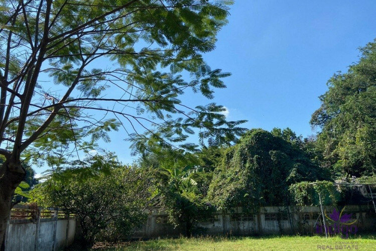 Дом в Сан Кампаенге, Таиланд | THE556584