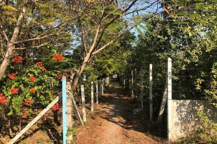 Дом в Хуахине, Таиланд | THE357829