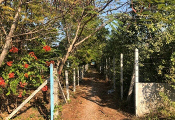 Дом в Хуахине, Таиланд | THE357829