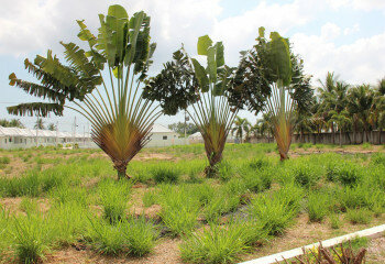 Дом в Хуахине, Таиланд | THE157724