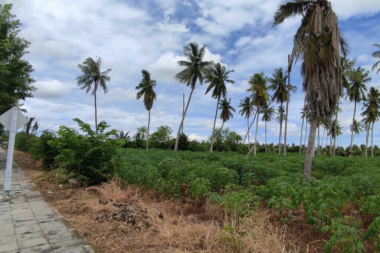 Земельный участок в Банг Ламунге, Таиланд | THE140187