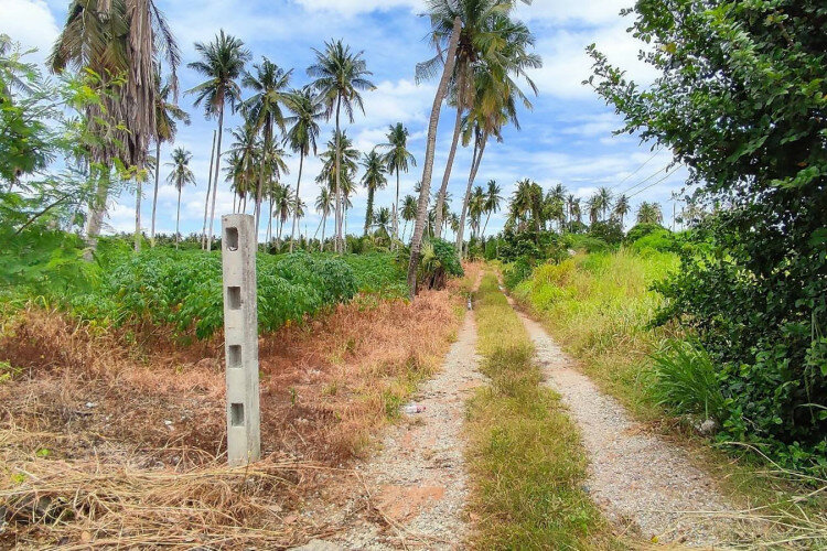 Земельный участок в Банг Ламунге, Таиланд | THE140187
