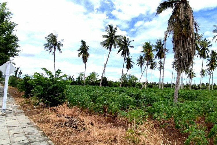 Земельный участок в Банг Ламунге, Таиланд | THE140187