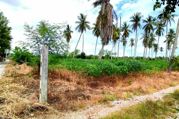 Земельный участок в Банг Ламунге, Таиланд | THE140187