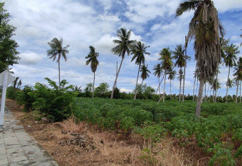 Земельный участок в Банг Ламунге, Таиланд | THE140187