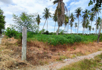 Земельный участок в Банг Ламунге, Таиланд | THE140187
