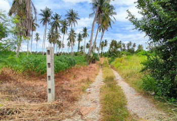 Земельный участок в Банг Ламунге, Таиланд | THE140187