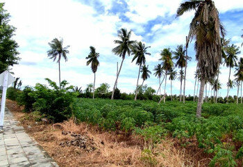 Земельный участок в Банг Ламунге, Таиланд | THE140187