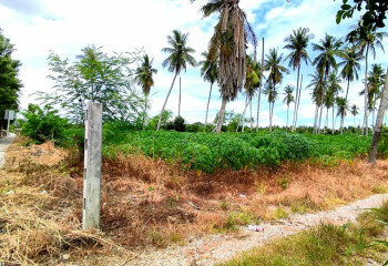 Земельный участок в Банг Ламунге, Таиланд | THE140187
