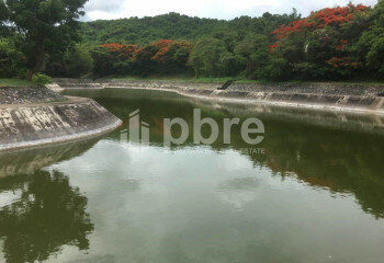 Земельный участок в Банг Ламунге, Таиланд | THE338841