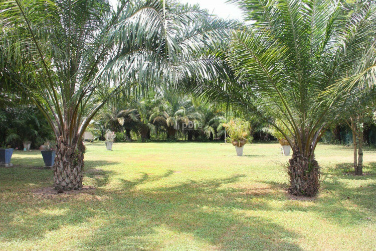 Земельный участок в Банг Ламунге, Таиланд | THE538864