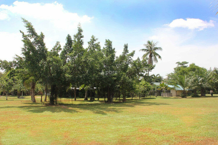 Земельный участок в Банг Ламунге, Таиланд | THE538864