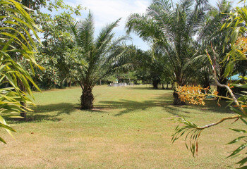 Земельный участок в Банг Ламунге, Таиланд | THE538864