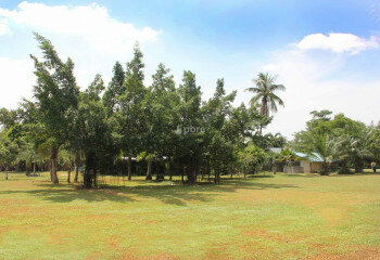 Земельный участок в Банг Ламунге, Таиланд | THE538864