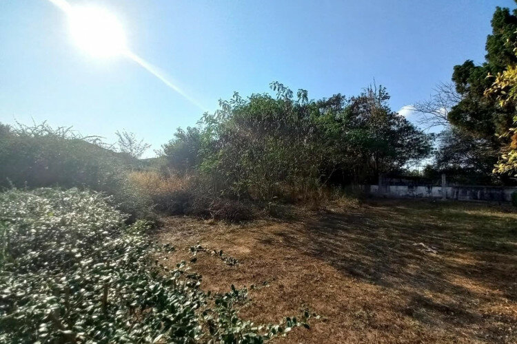 Земельный участок в Банг Ламунге, Таиланд | THE239422