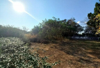 Земельный участок в Банг Ламунге, Таиланд | THE239422