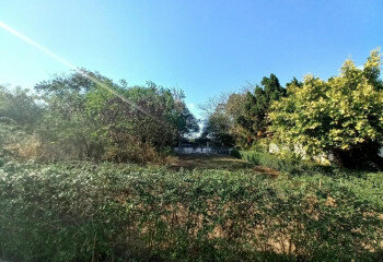 Земельный участок в Банг Ламунге, Таиланд | THE239422