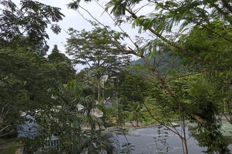 Кондоминиум в Камале, Пхукет, Таиланд | THE445835