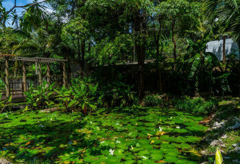 Кондоминиум в Камале, Пхукет, Таиланд | THE445835