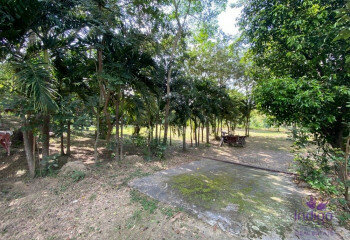 Земельный участок в Сан Па Тонге, Таиланд | THE156704