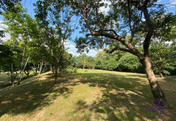 Земельный участок в Сан Па Тонге, Таиланд | THE156704