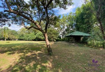 Земельный участок в Сан Па Тонге, Таиланд | THE156704