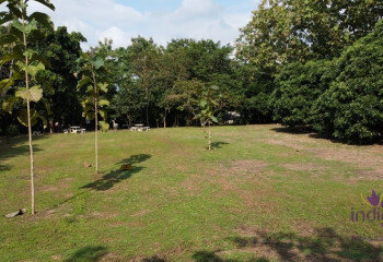 Земельный участок в Сан Па Тонге, Таиланд | THE156704