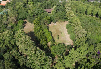 Земельный участок в Сан Па Тонге, Таиланд | THE156704