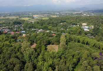 Земельный участок в Сан Па Тонге, Таиланд | THE156704