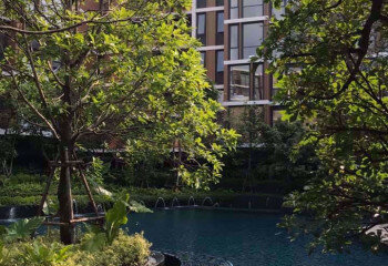 Кондоминиум в Бангкоке, Таиланд | THE554289