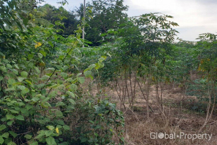 Земельный участок в Паттайе, Таиланд | THE344289