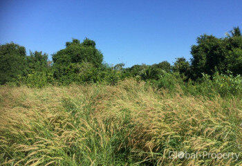 Земельный участок в Паттайе, Таиланд | THE144396