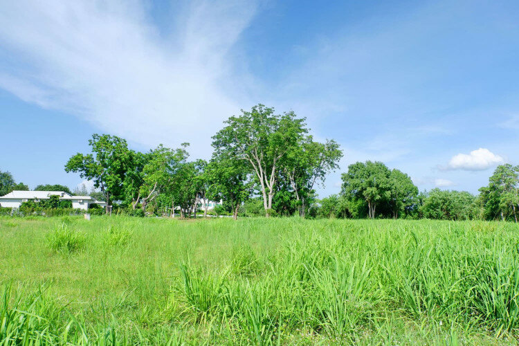 Земельный участок в Паттайе, Таиланд | THE527649