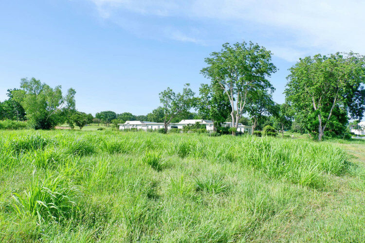 Земельный участок в Паттайе, Таиланд | THE527649