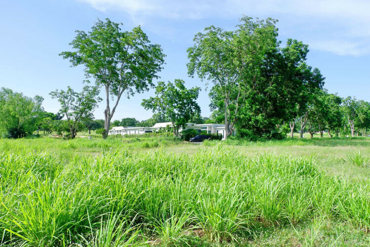 Земельный участок в Паттайе, Таиланд | THE527649