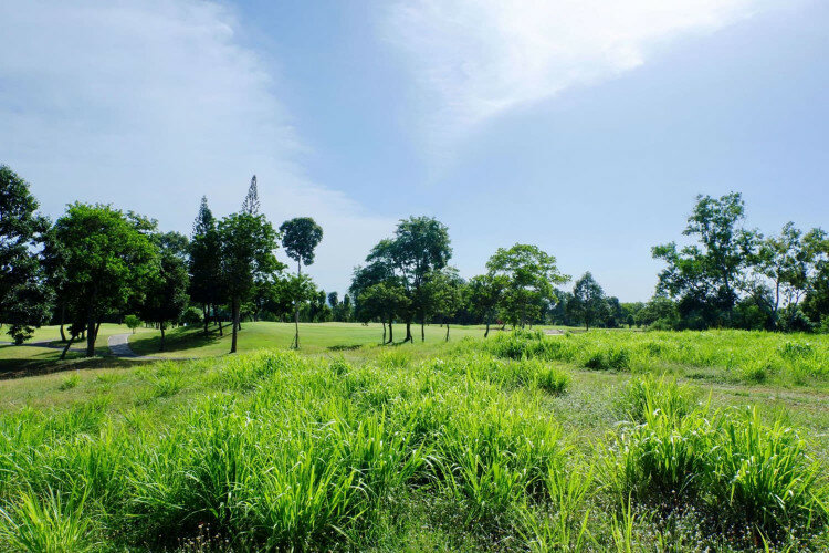 Земельный участок в Паттайе, Таиланд | THE527649