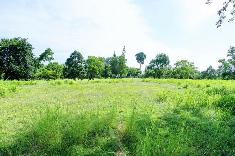 Земельный участок в Паттайе, Таиланд | THE527649