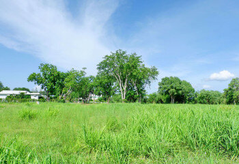 Земельный участок в Паттайе, Таиланд | THE527649