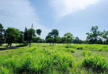 Земельный участок в Паттайе, Таиланд | THE527649