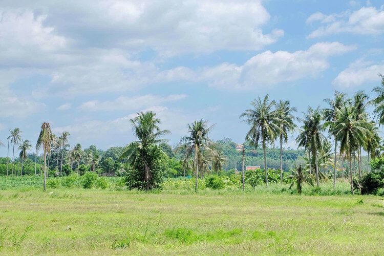 Земельный участок в Паттайе, Таиланд | THE327706