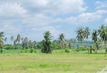 Земельный участок в Паттайе, Таиланд | THE327706