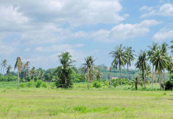 Земельный участок в Паттайе, Таиланд | THE327706