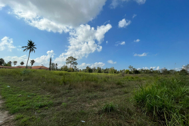 Готовый бизнес в Банг Ламунге, Таиланд | THE239388