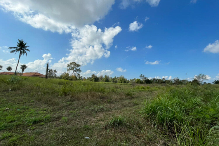 Готовый бизнес в Банг Ламунге, Таиланд | THE239388