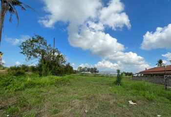 Готовый бизнес в Банг Ламунге, Таиланд | THE239388